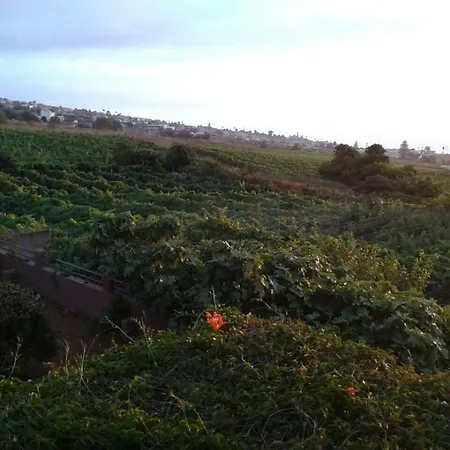 Casa Rural, Espectaculares Vistas Teide Wifi- Bbq טקורונטה