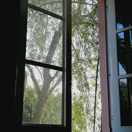 Casa Rural, Espectaculares Vistas Teide Wifi- Bbq בית נופש *
