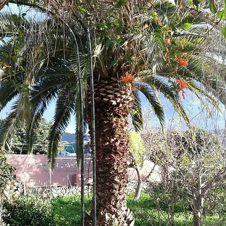 Casa Rural, Espectaculares Vistas Teide Wifi- Bbq בית נופש